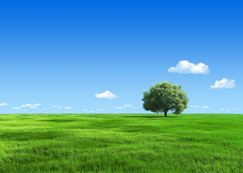 3bdb16c033172fb1430cd6b3b501755e_1555471697_16.png